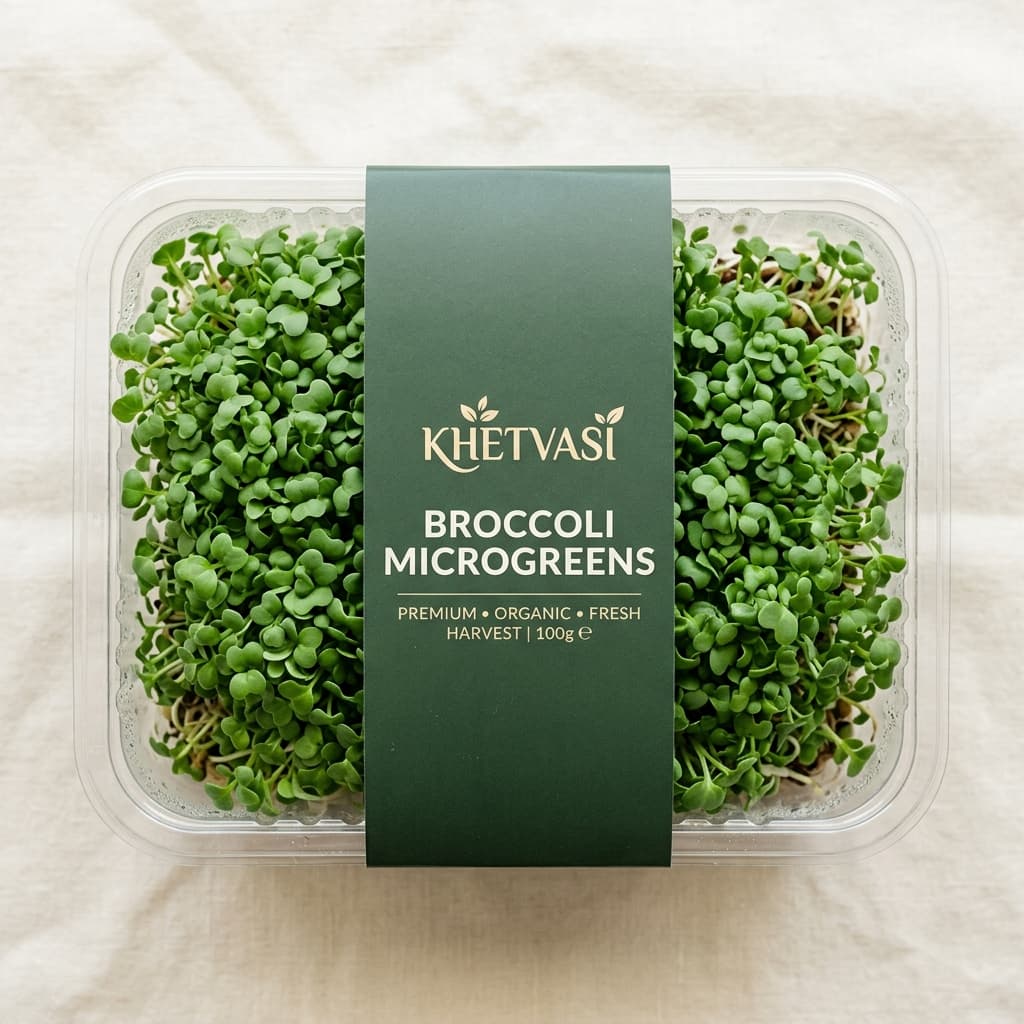 Khetvasi Broccoli Microgreens