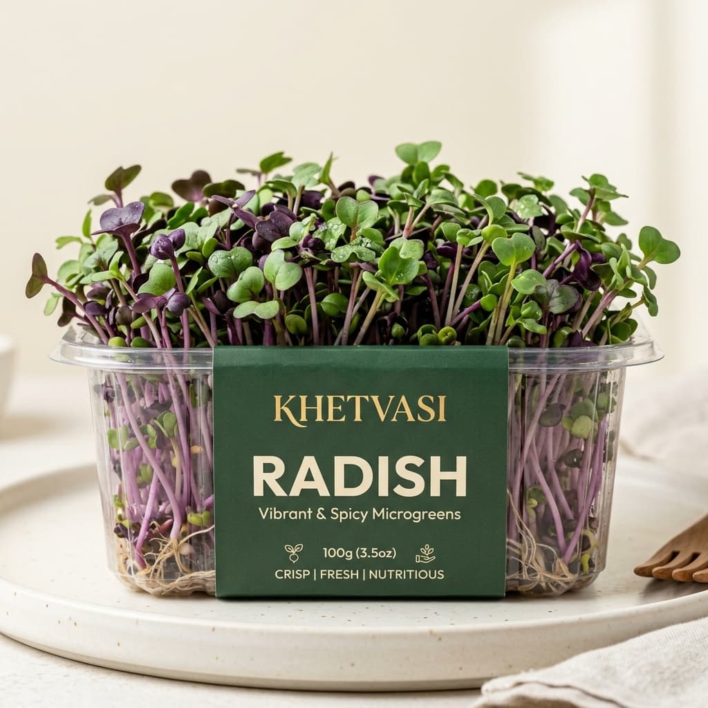 Khetvasi Radish Microgreens